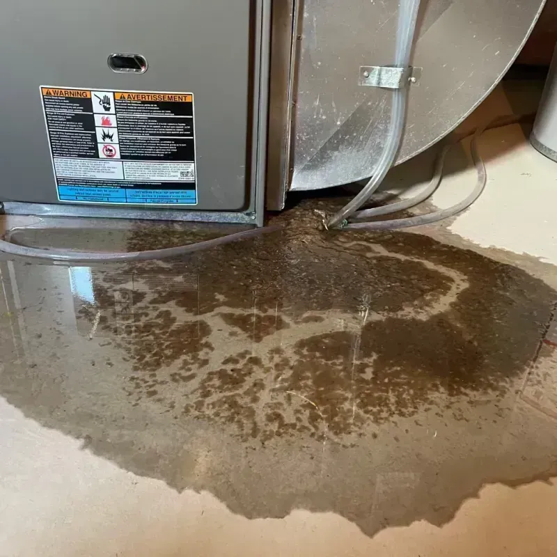 Appliance Leak Cleanup in Stonegate, CO